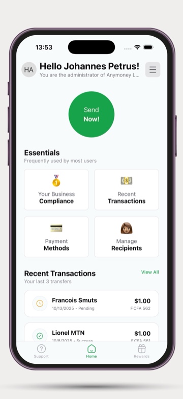 AnyMoney App Screenshot 2